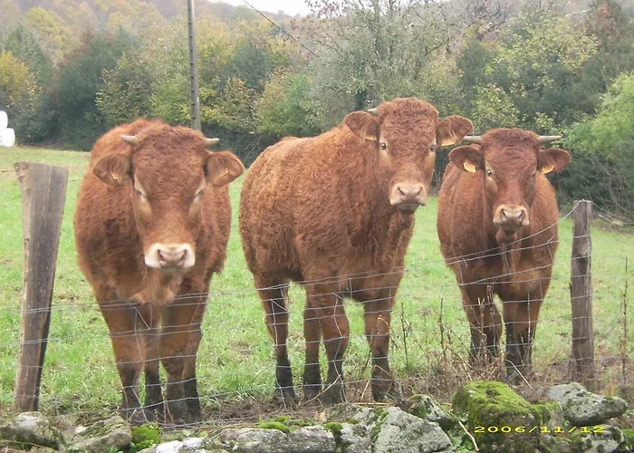 Дом отдыха De Rouayras